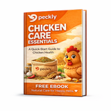 Chicken Health Guide
